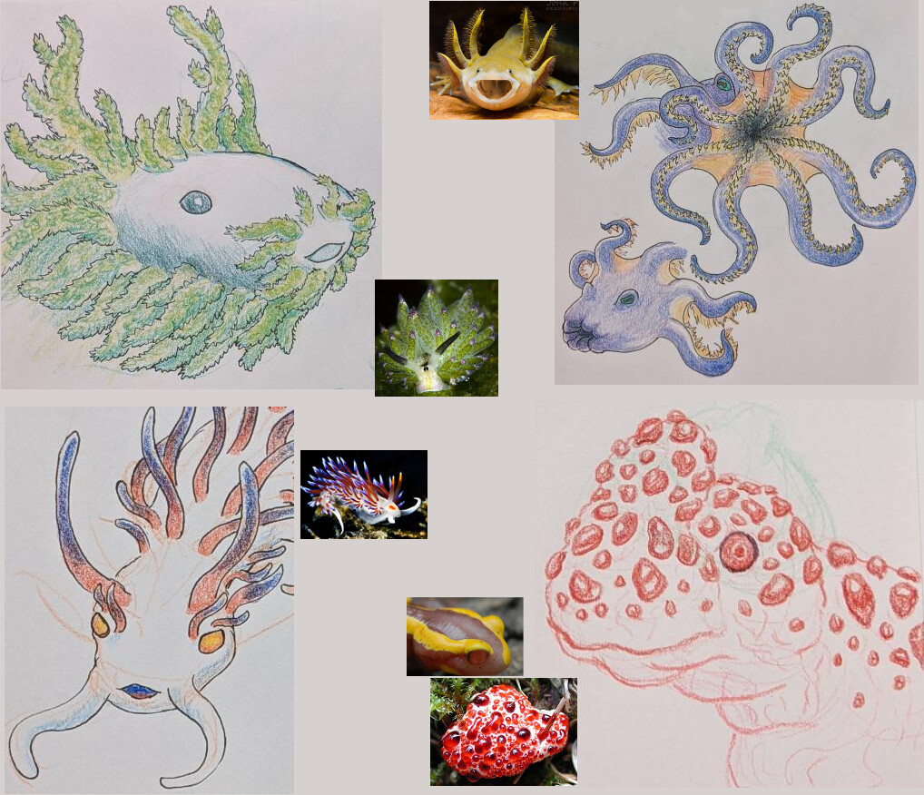 Salamanders
