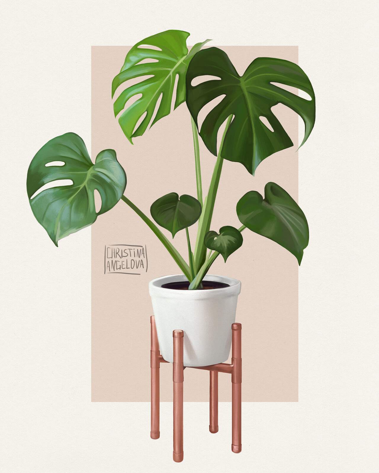 Plant studies. Monstera 160 White.