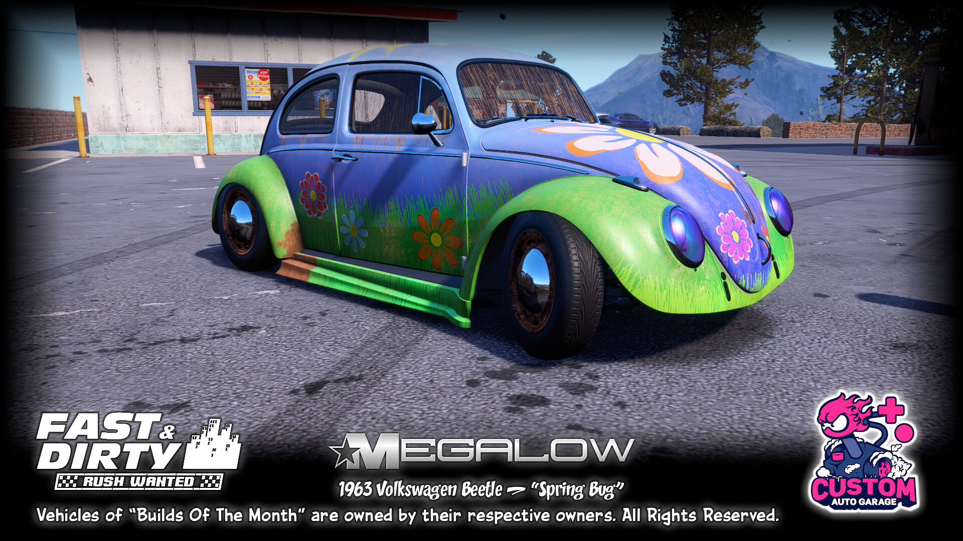 Shea Cortes Grant - VW Beetle (Spring Bug)