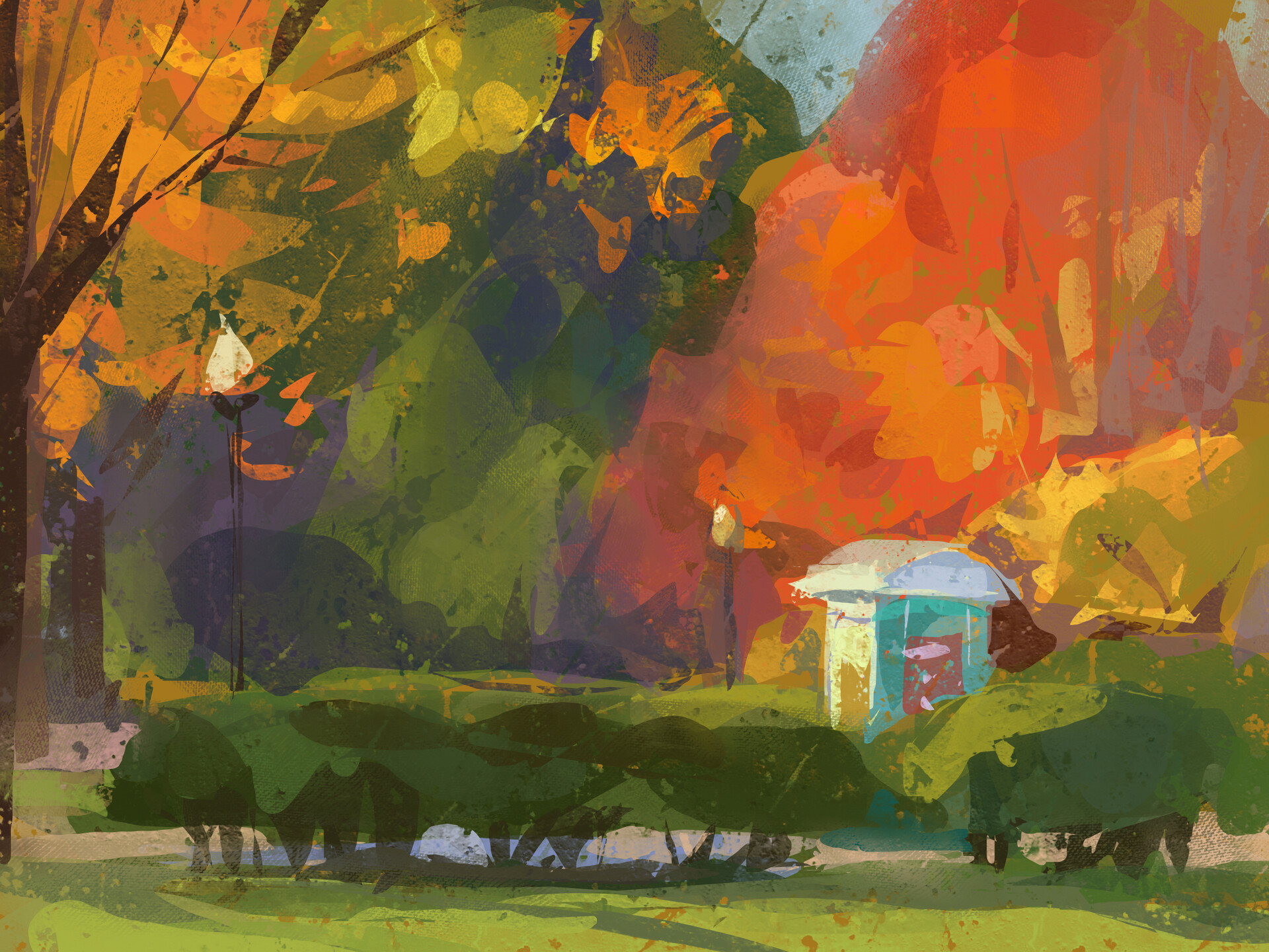 fall colours
