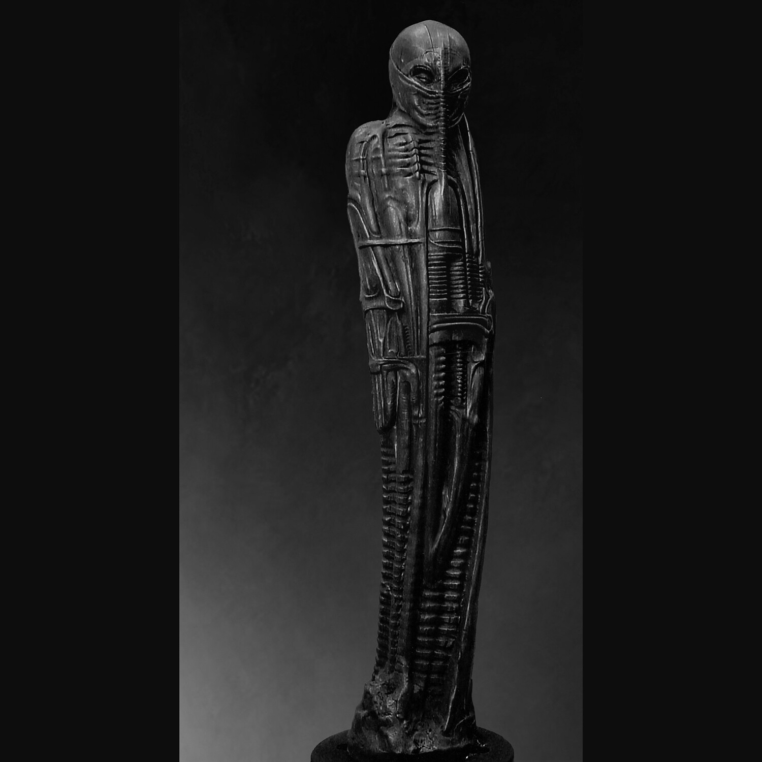 Samurai, 2002 