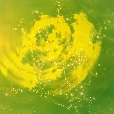 Sunny flower dance