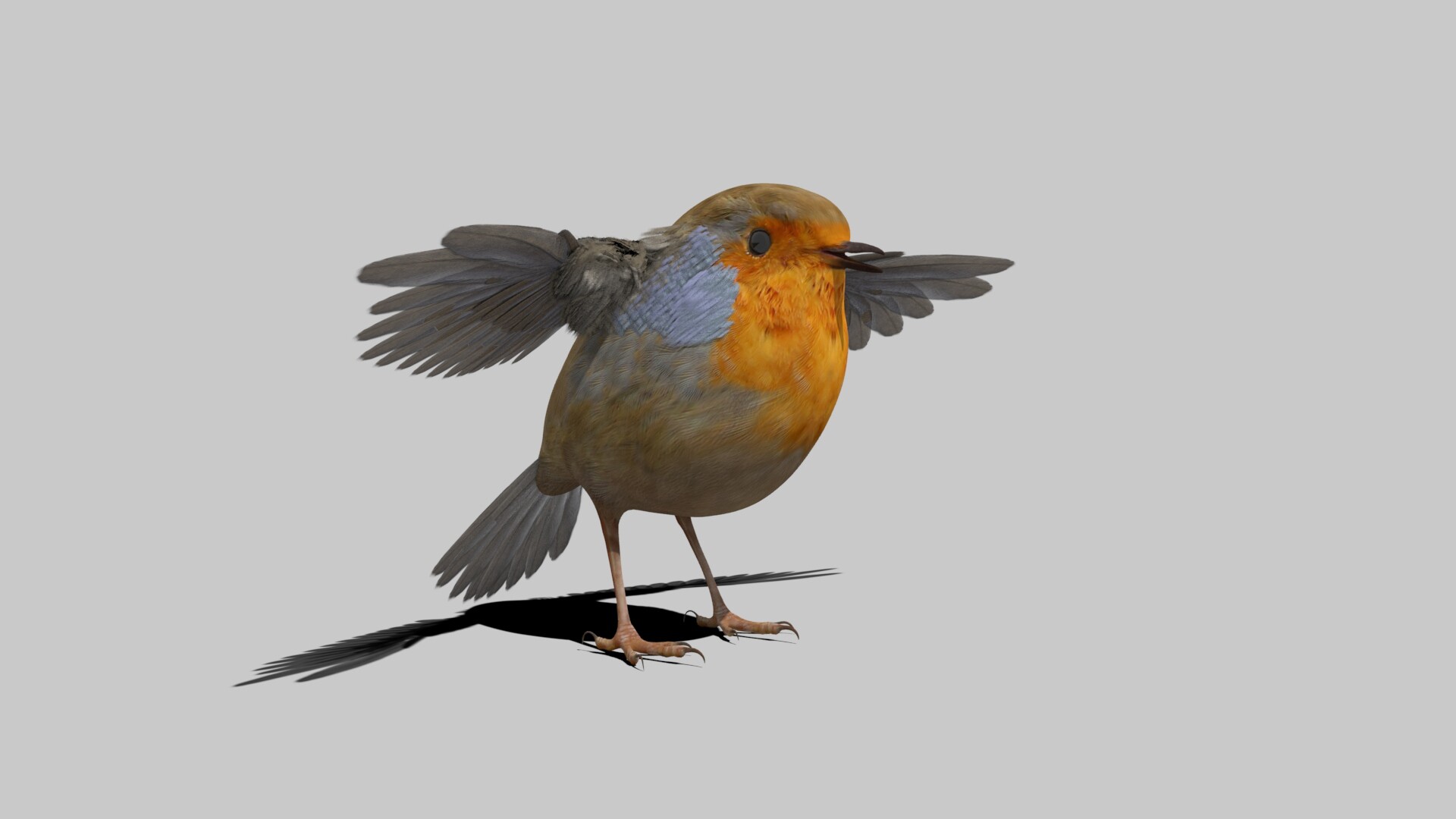 ArtStation - 3d European Robin Bird Model Realtime