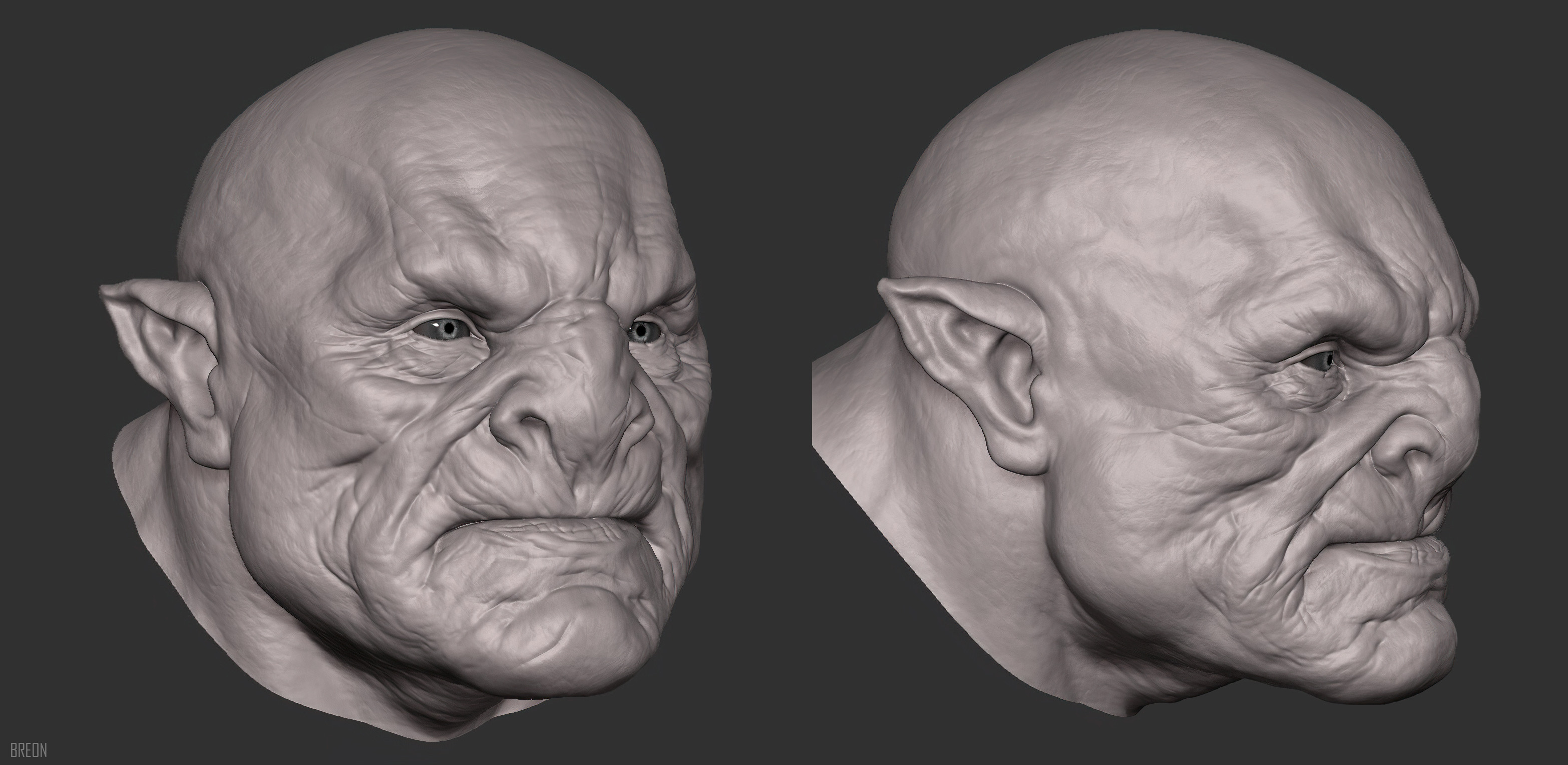 Old Orc (zbrush viewport). Here's a good example of the sculpt w/o pore and micro details added.