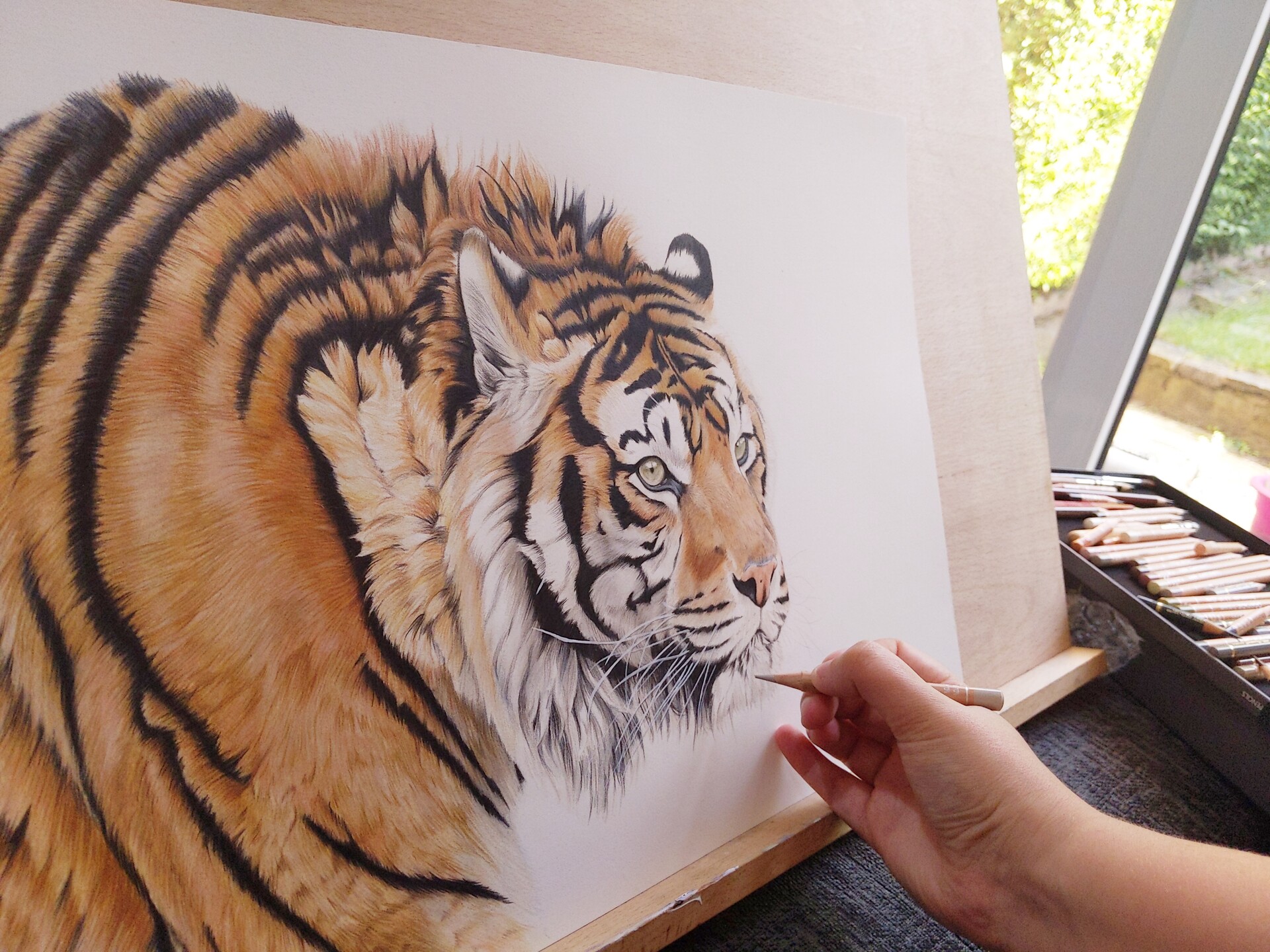 ArtStation - Wildlife coloured pencil drawings