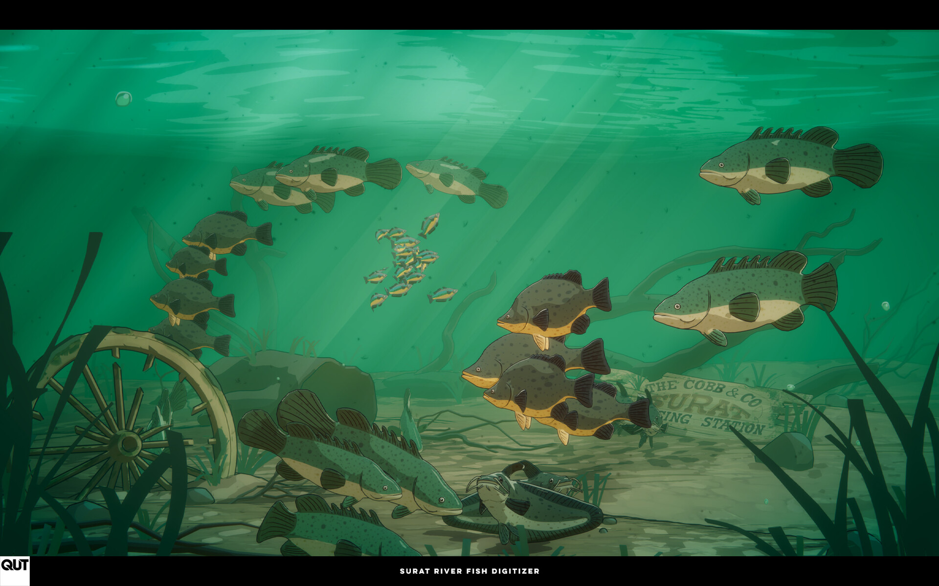 Ryan Bargieł - Surat River Fish Digitizer