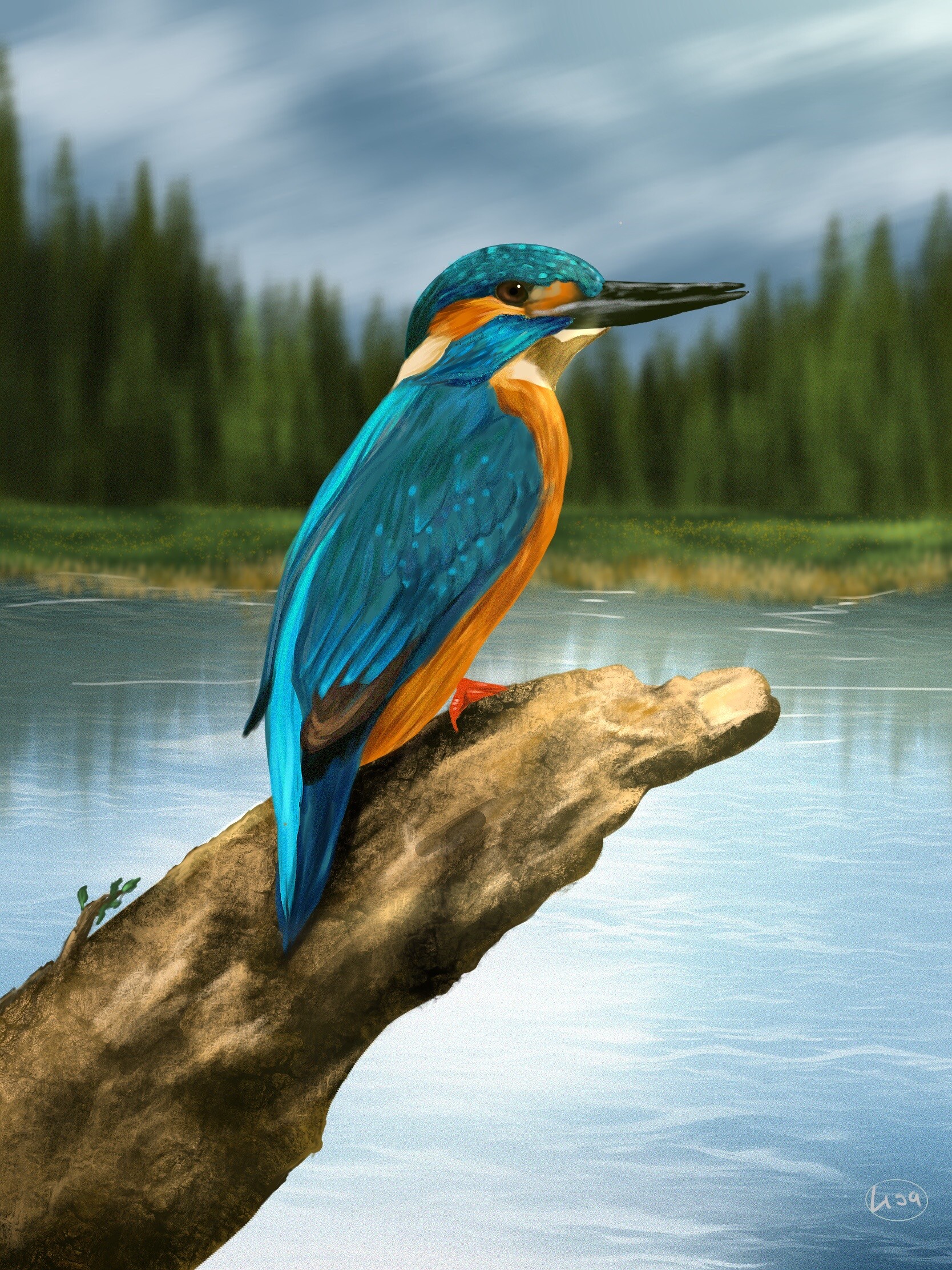 Kingfisher Drawing Beautiful Image - Drawing Skill