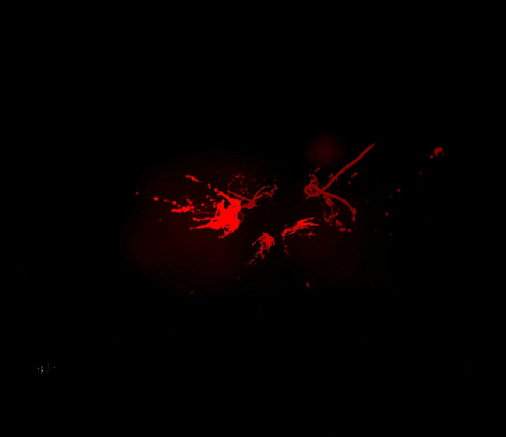 Unity Particle System Render