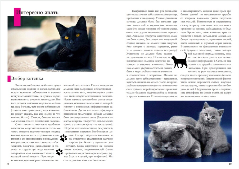 ArtStation - Animal magazine (spreads)/Журнал про тварин (розвороти)
