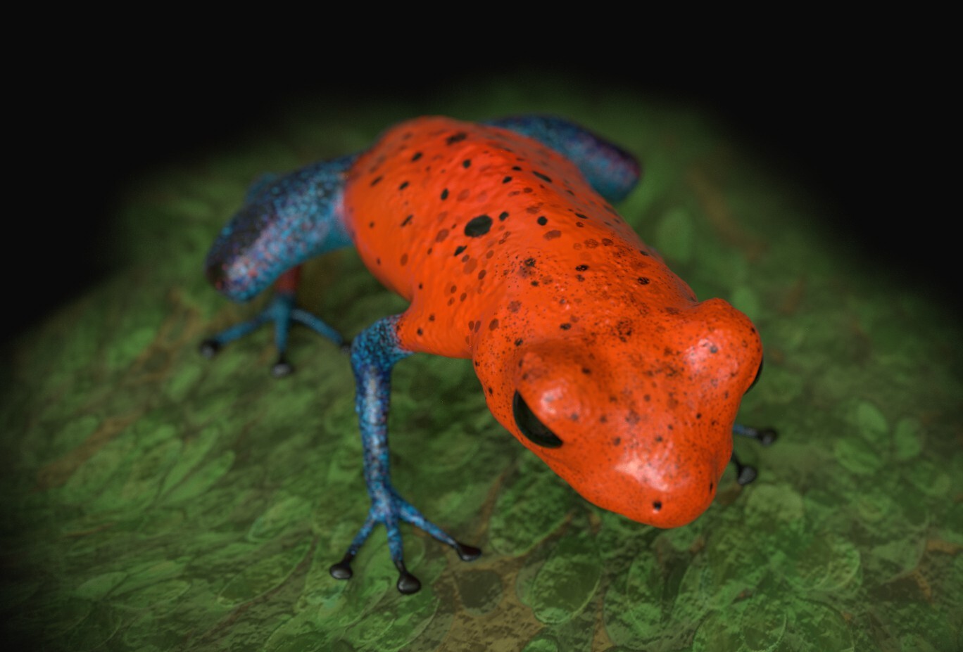 ArtStation Poisondart frog