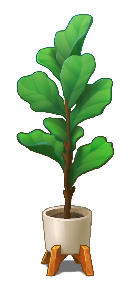 Item Ficus Lyrata