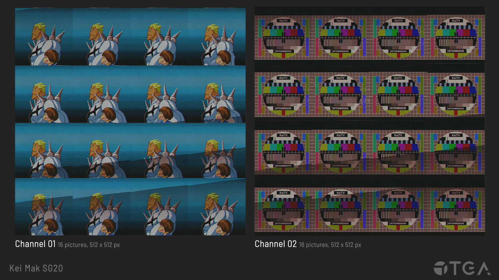 Animations on the EVM screen (1/2)