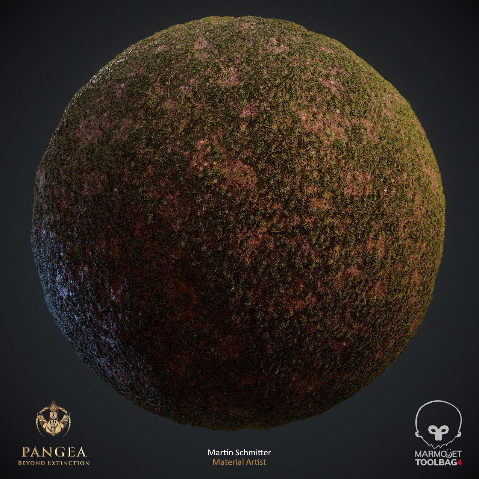 Moss Part Covered Forest Render