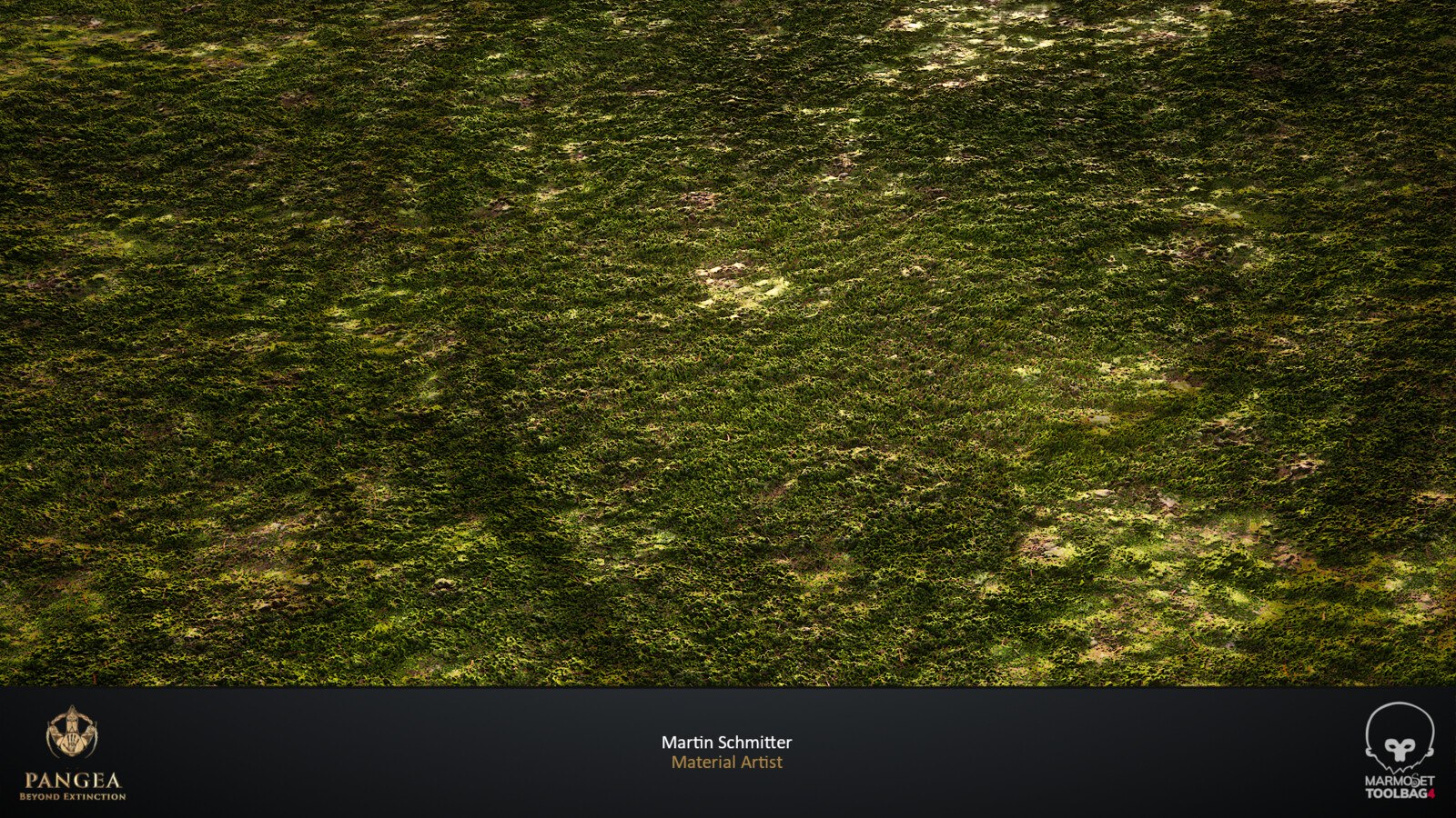 Moss Variations Plane Render