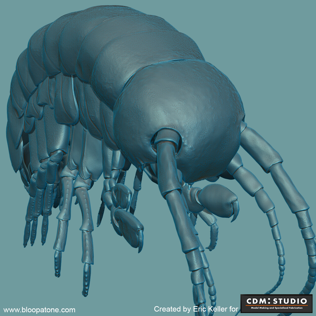 ZBrush render of Amphipod model