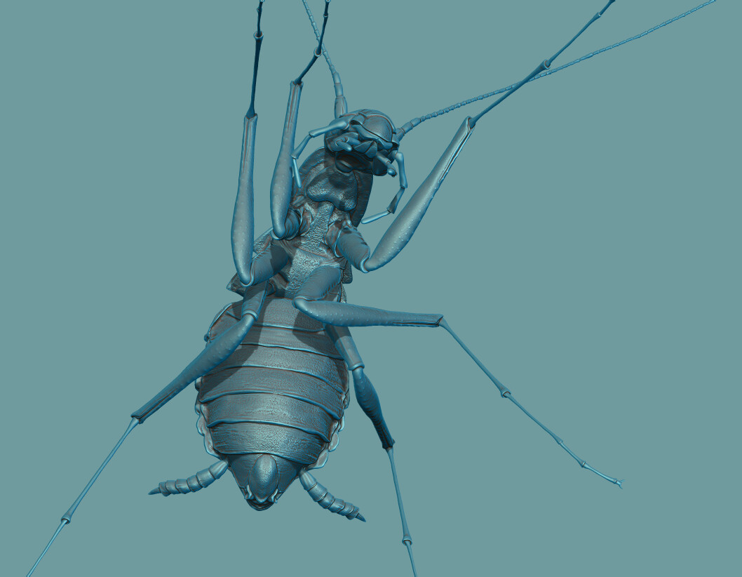 ZBrush render of the cockroach model
