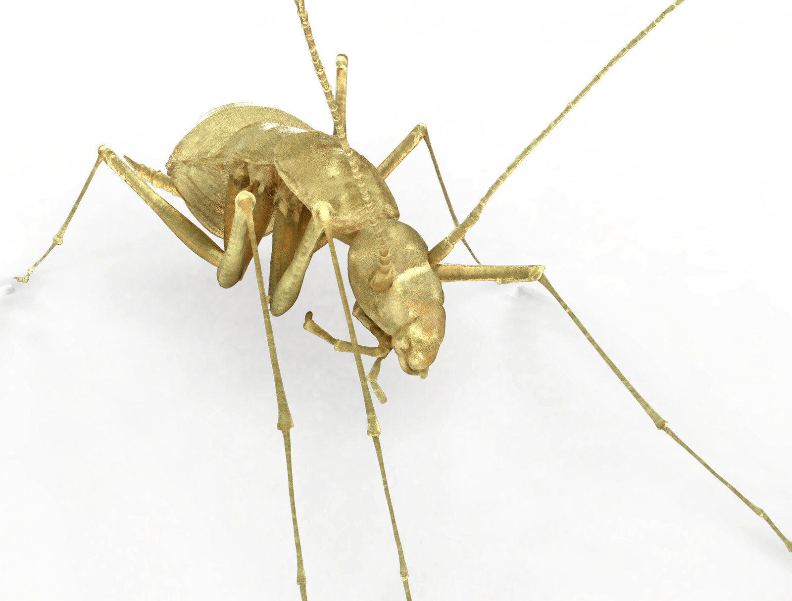 Keyshot render of the cockroach model