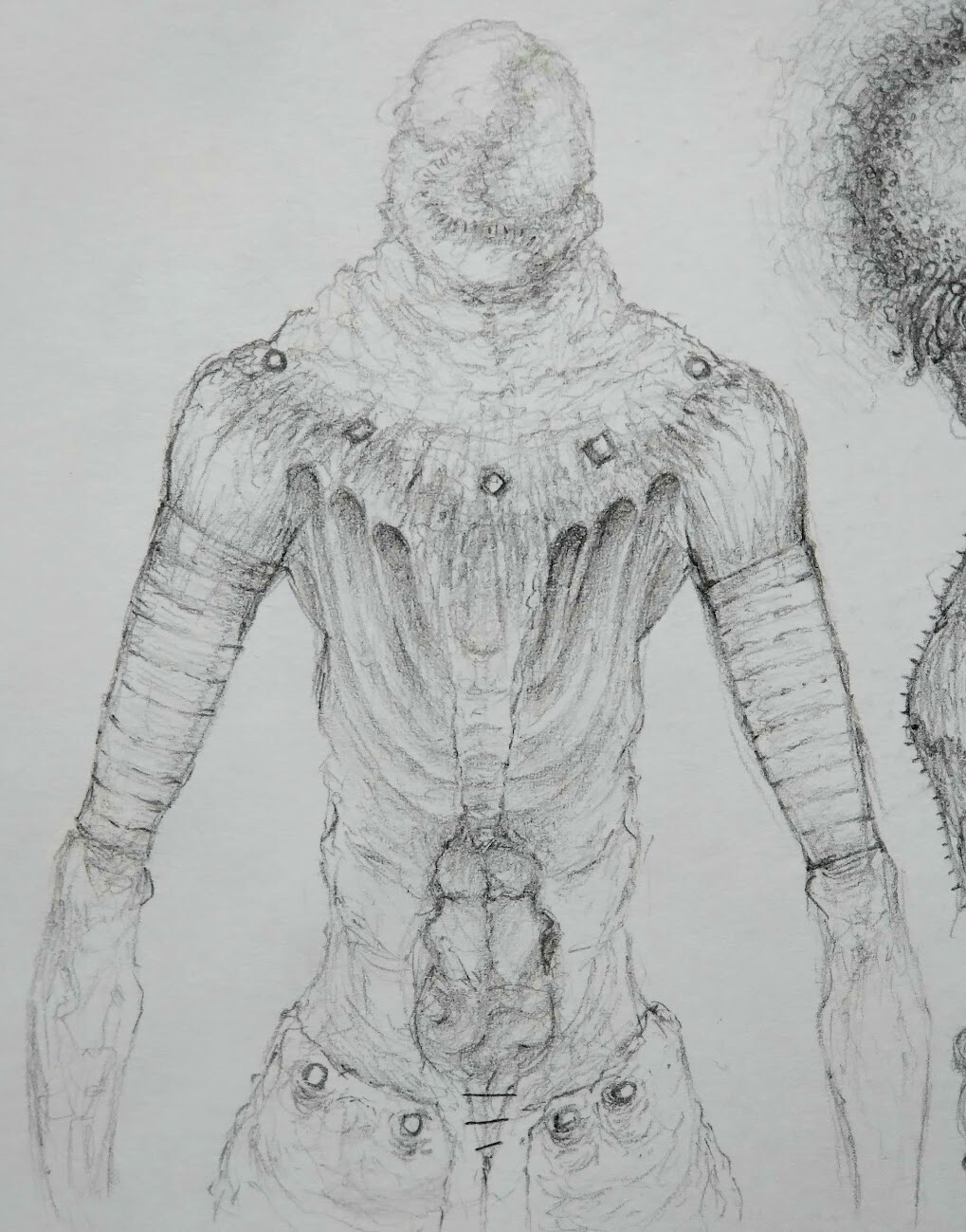 Hand drawn isolated human skull pencil drawing Vector Image