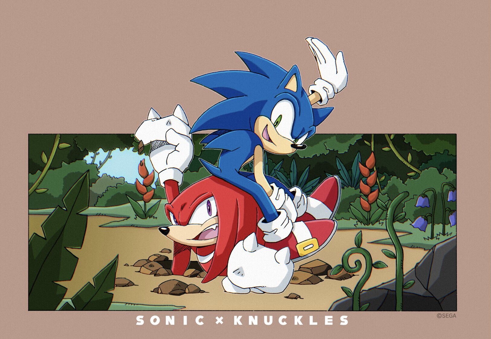 Sonic & shop knuckles sonic retro