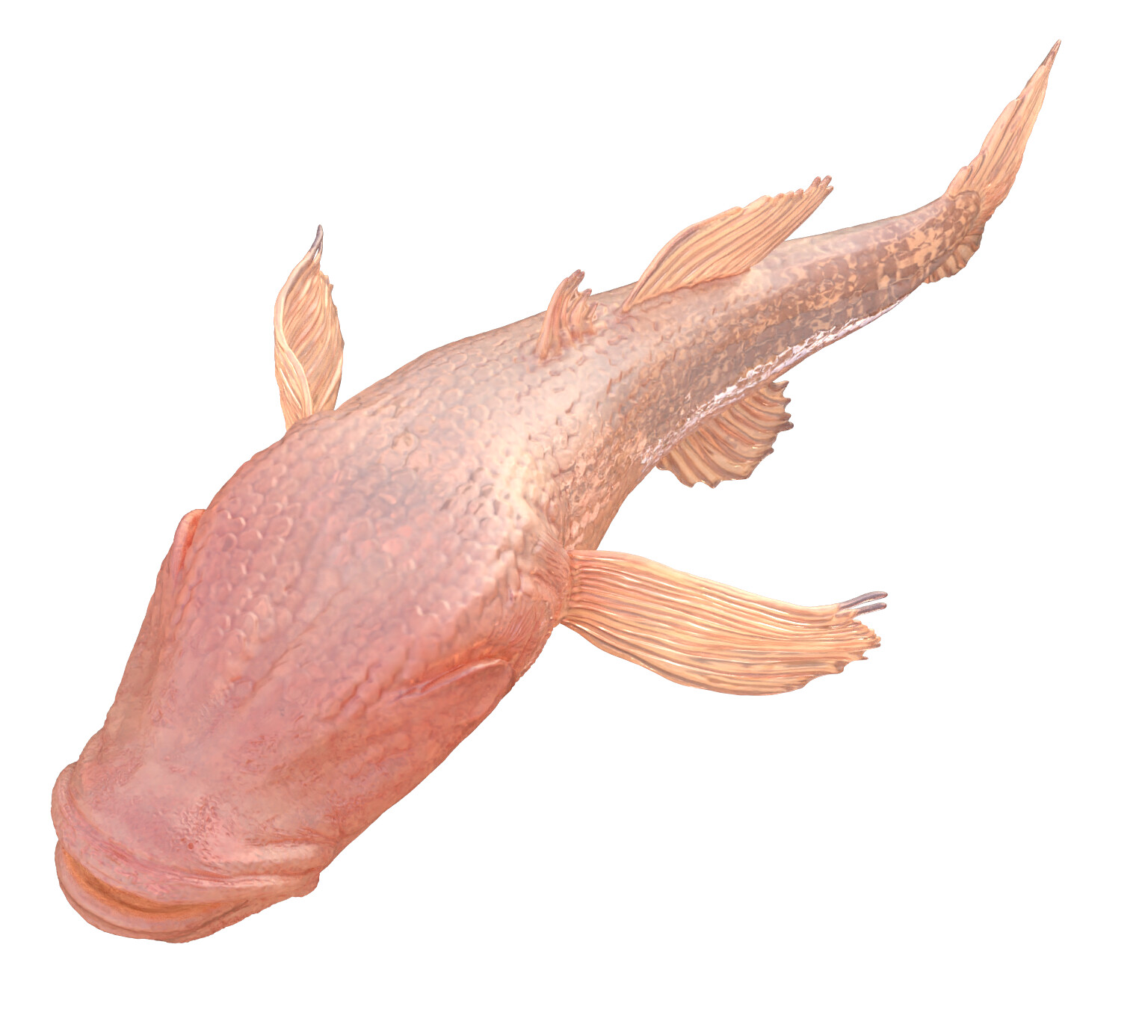Keyshot render of fish model
