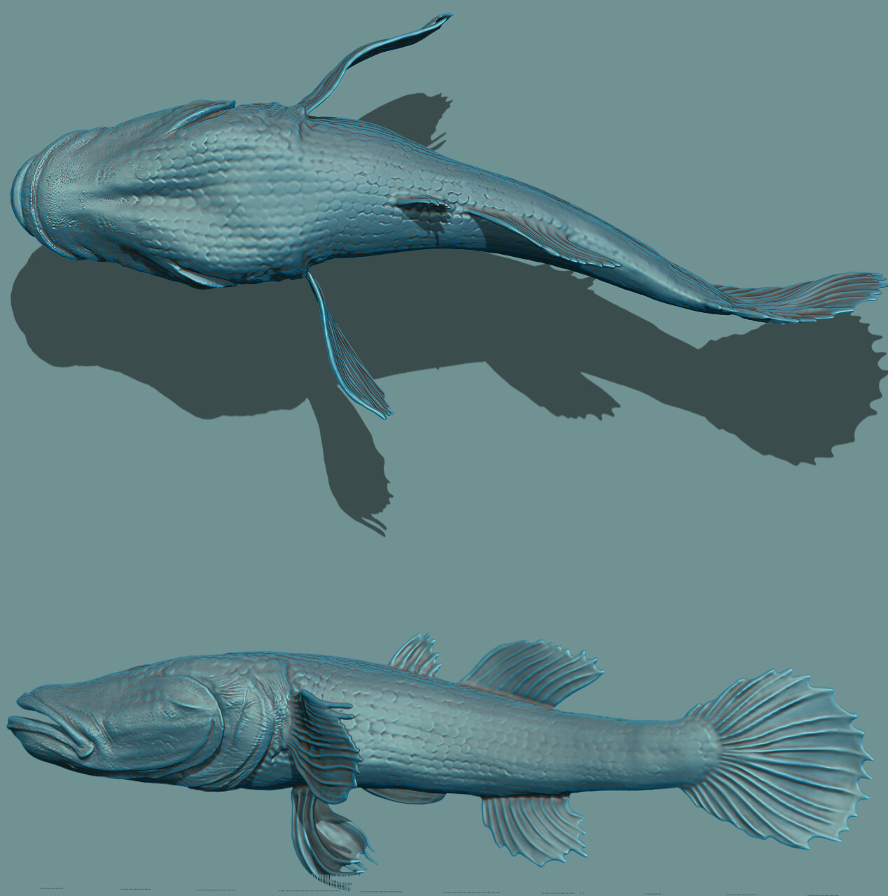ZBrush render of fish model