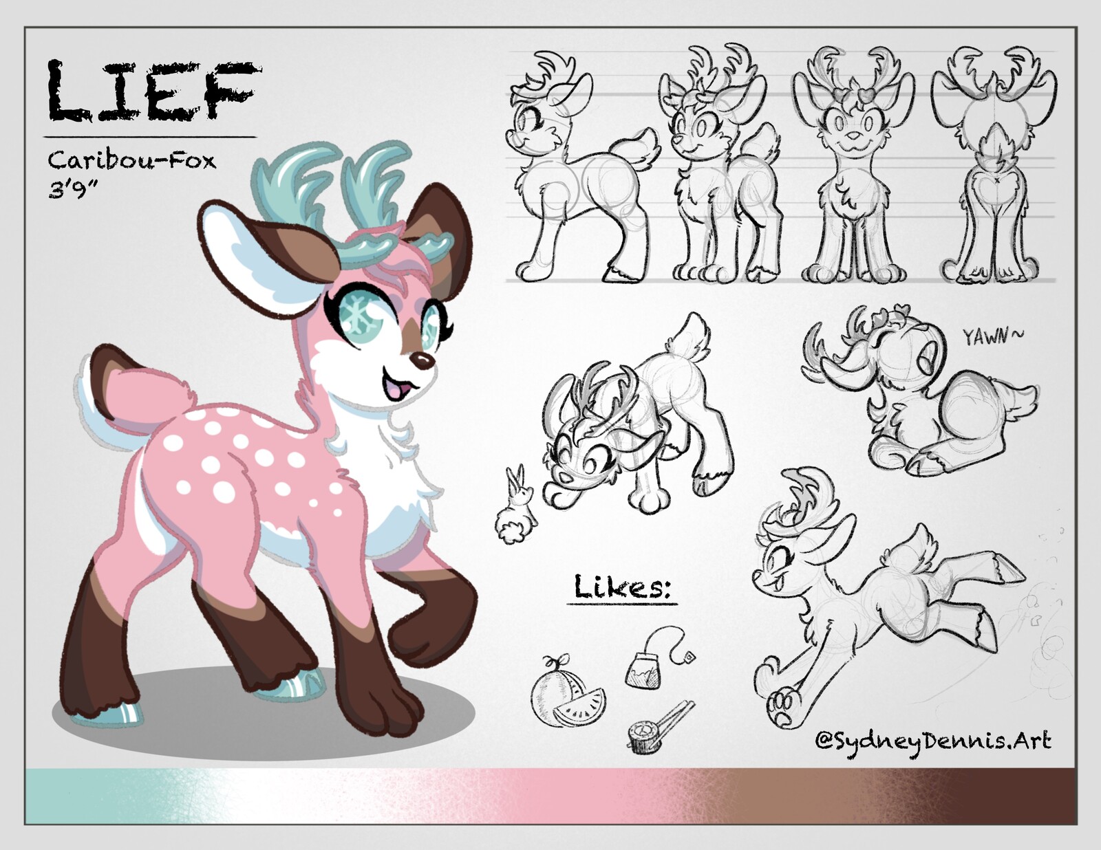 Animal Combination Character Design
Caribou-Fox