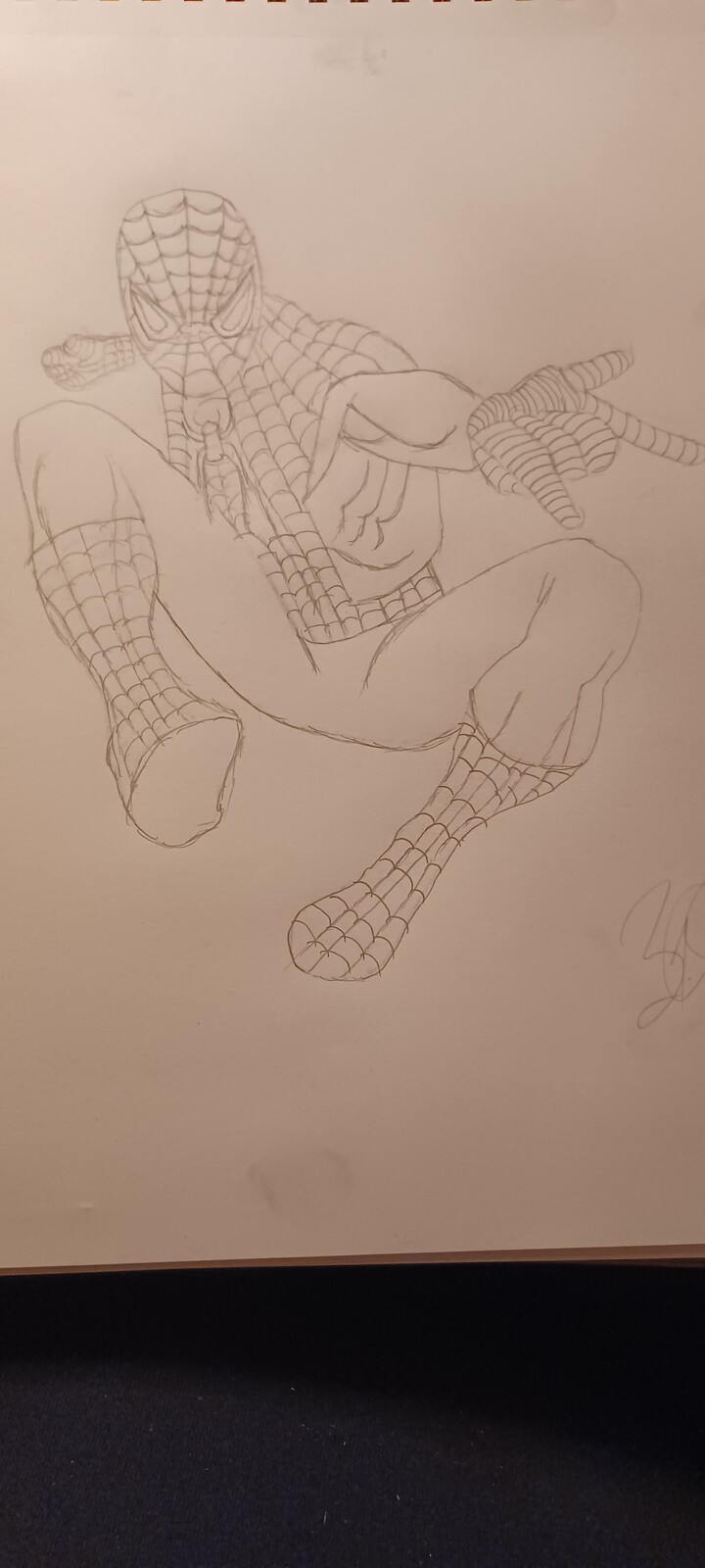 Spiderman Sketch