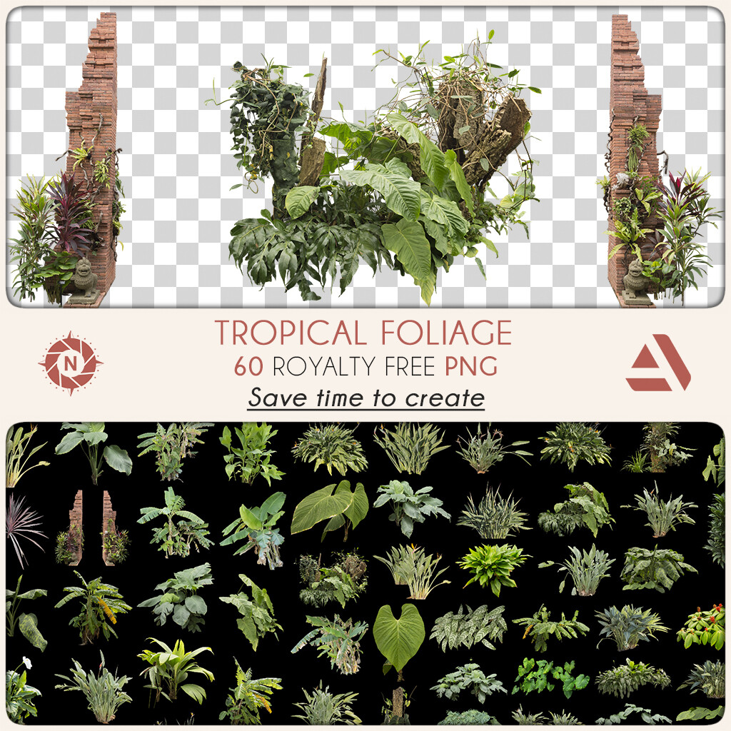 PNG Photo Pack: Tropical Foliage 

https://www.artstation.com/a/14810740