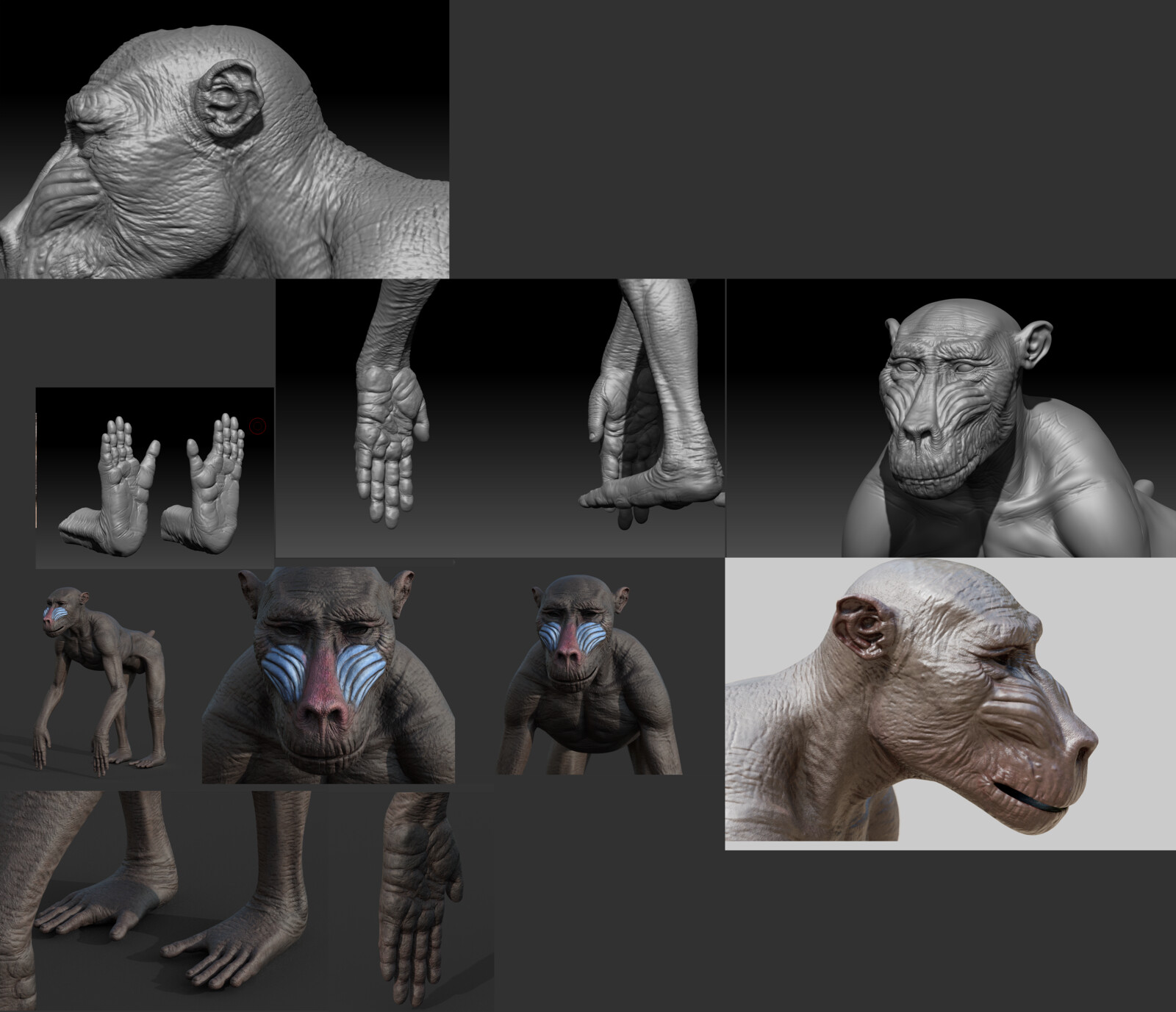 Zbrush and substance painter preview
