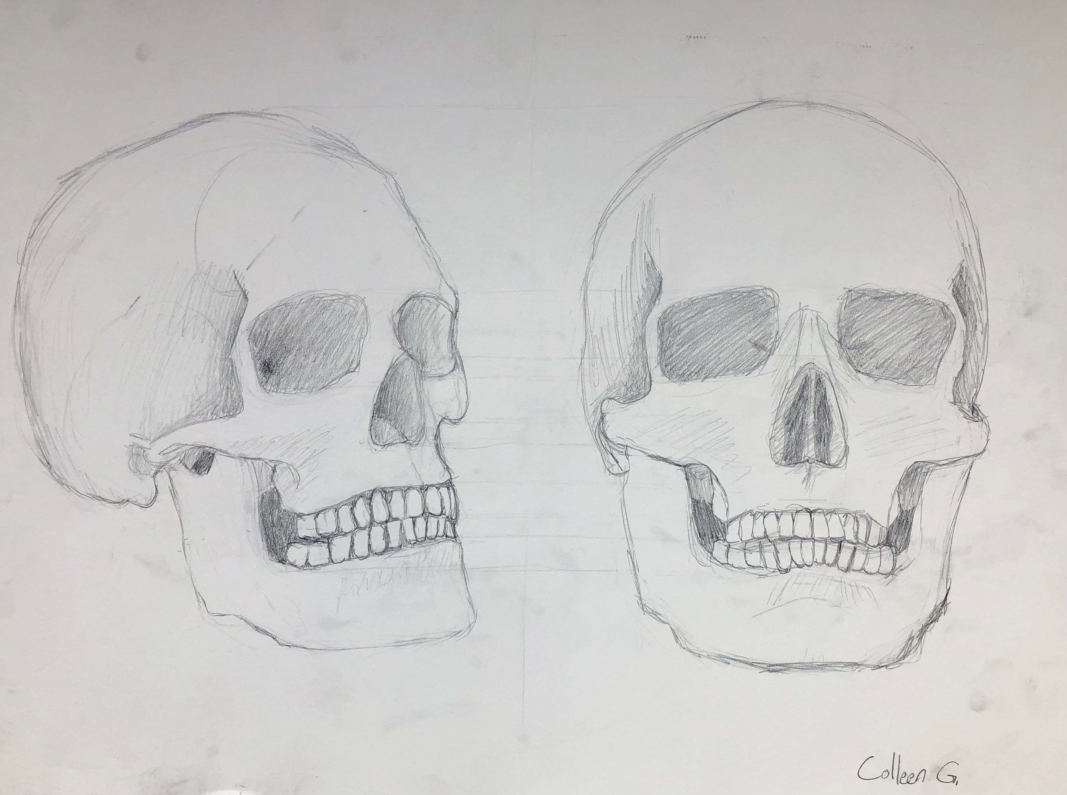 Skull practice. Graphite on white paper.