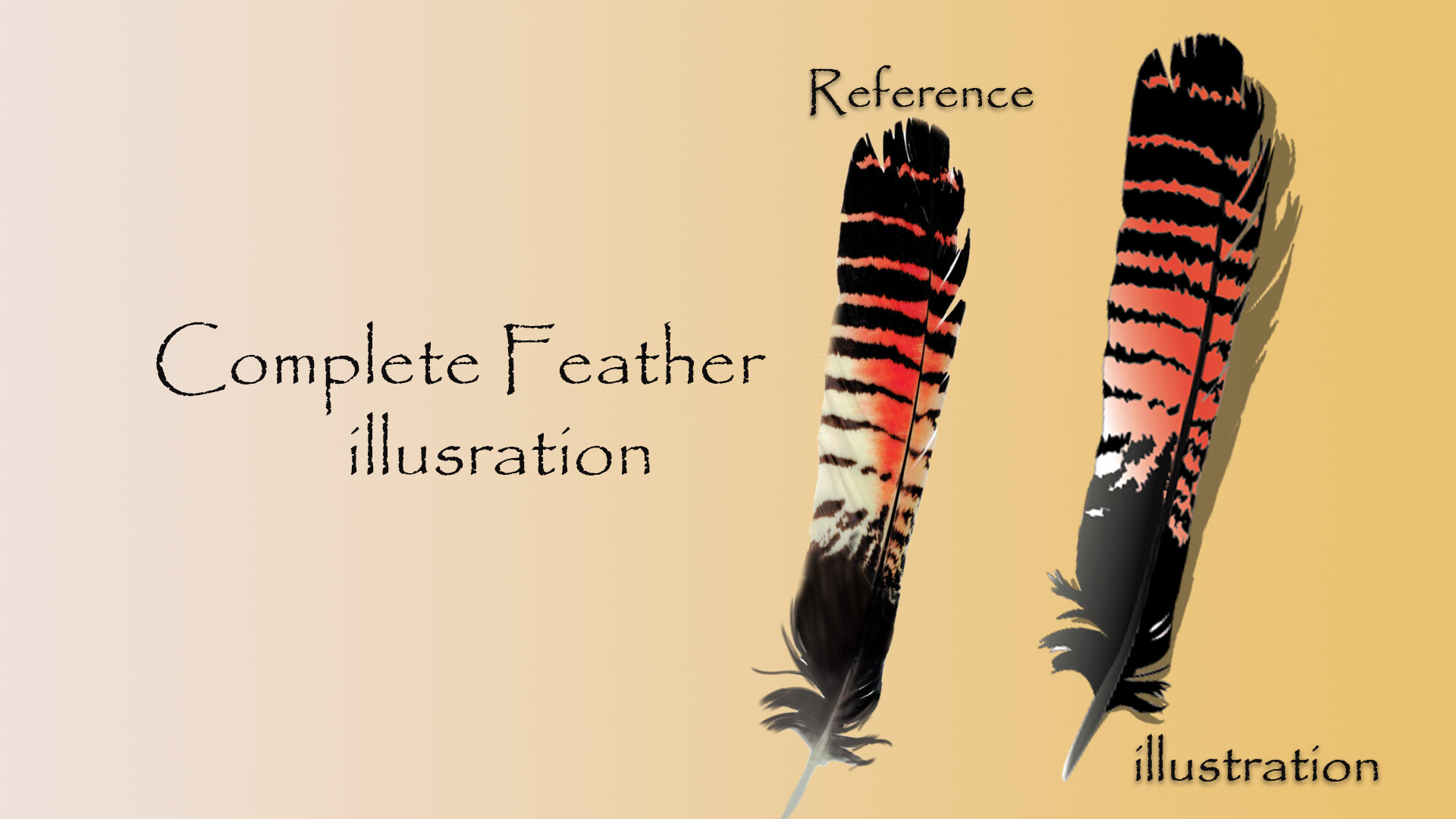 Artstation - How To Draw A Feather In Illustrator