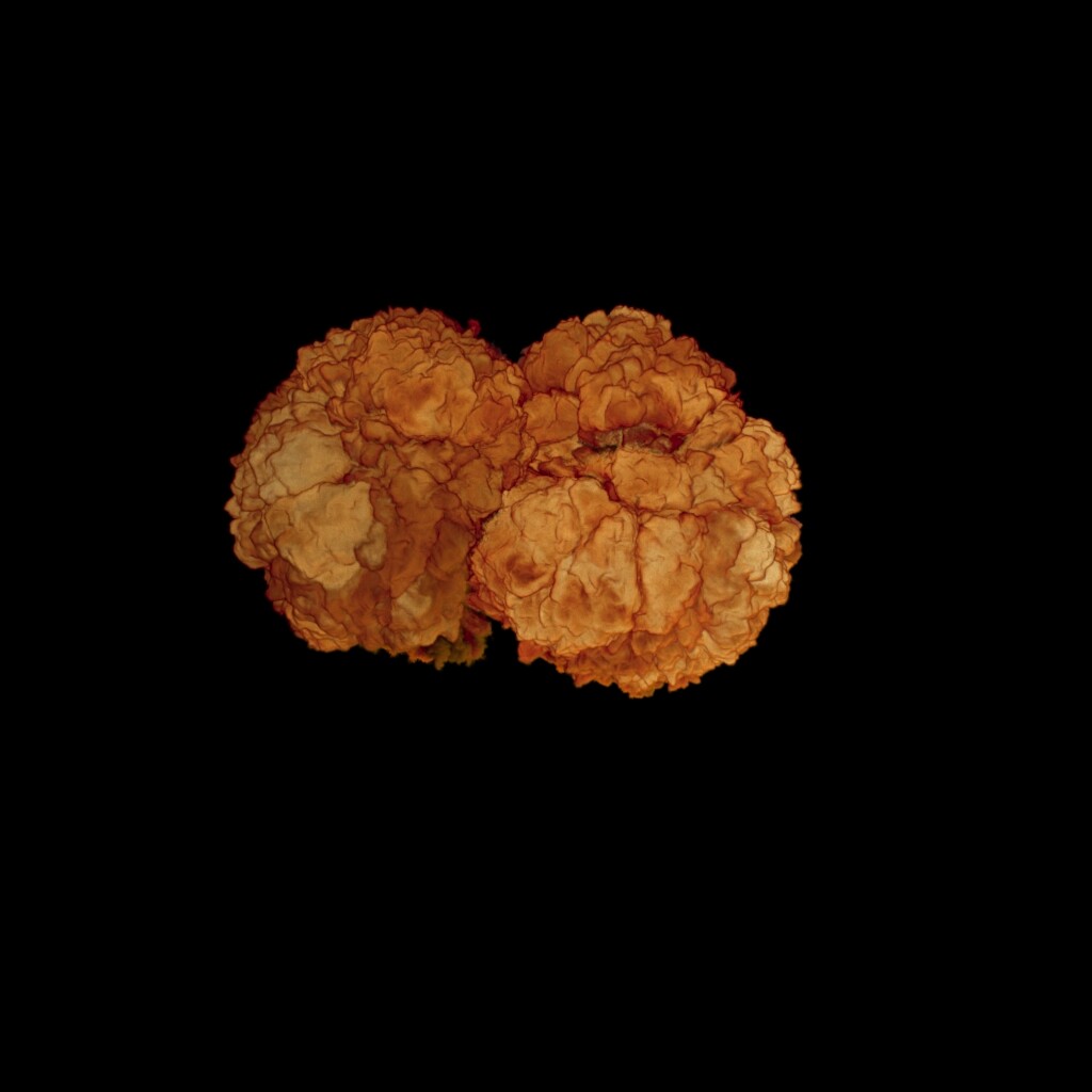 Explosion Sim Render -  Frame 36