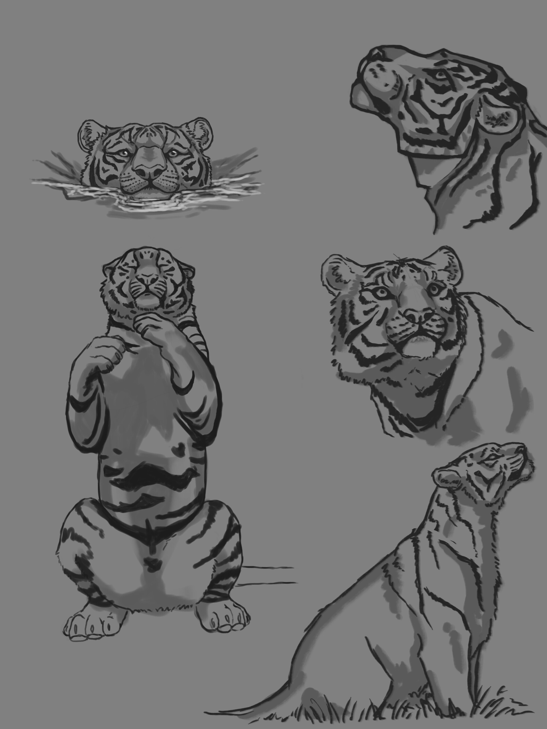 ArtStation - Tiger Line Art