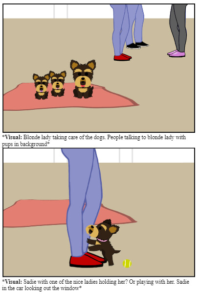 Storyboard Image Three