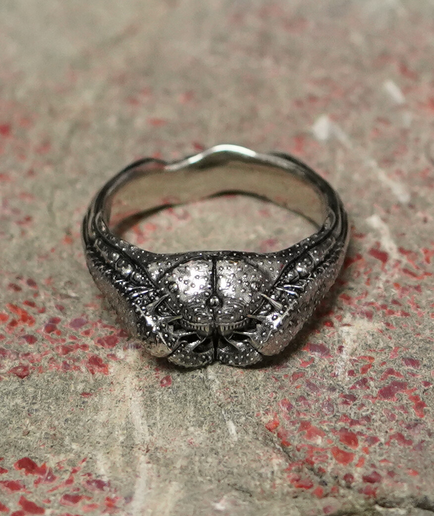 Amblypigid ring cast in white gold