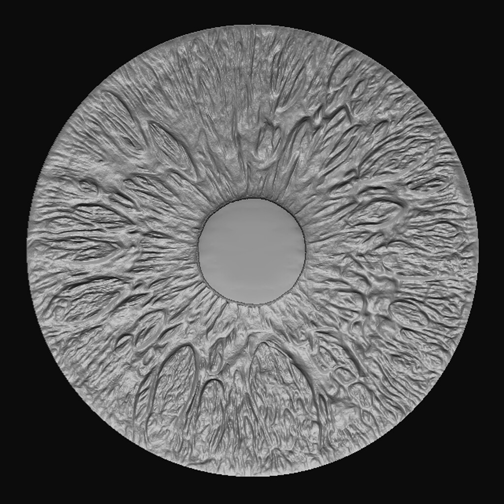 Iris detailed in zbrush