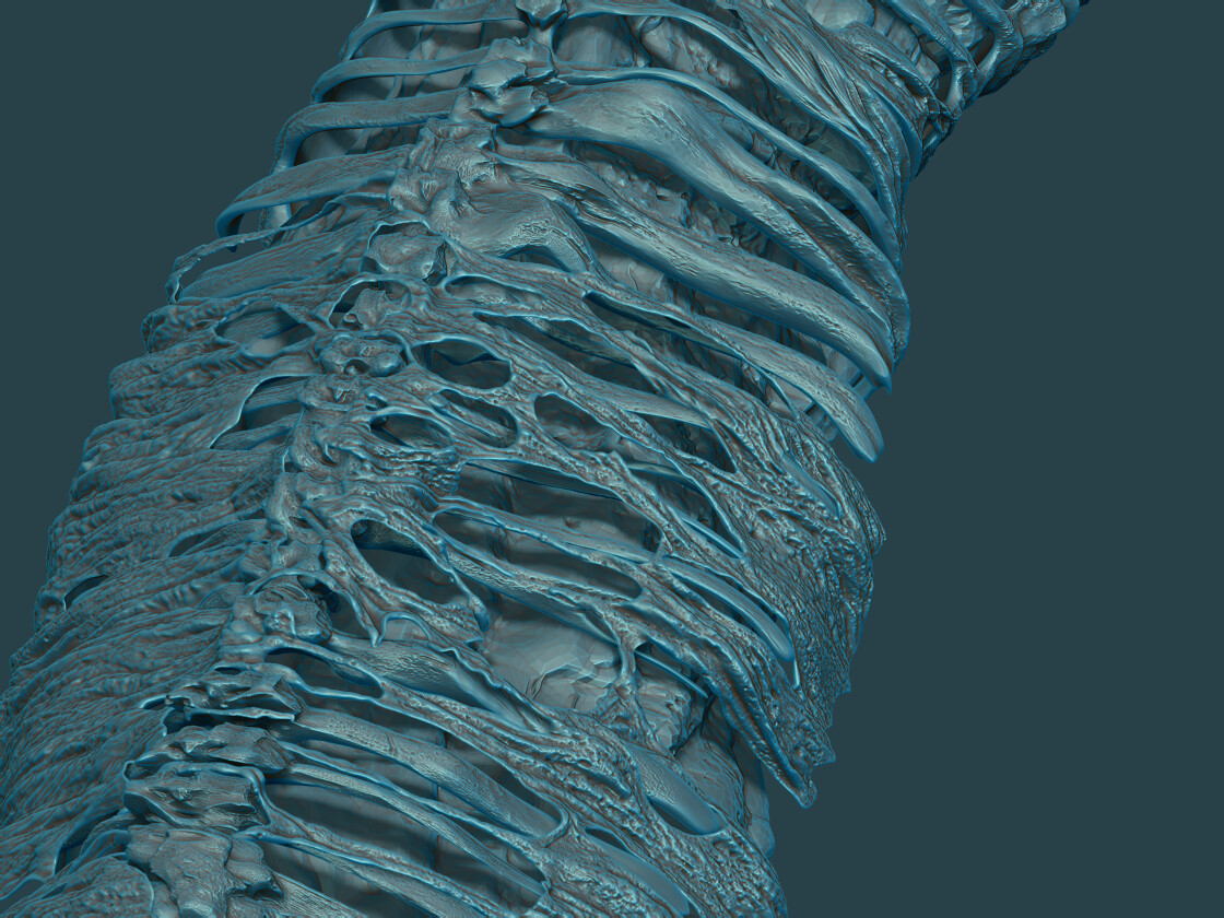 Section of serpent corpse sculpt in ZBrush
