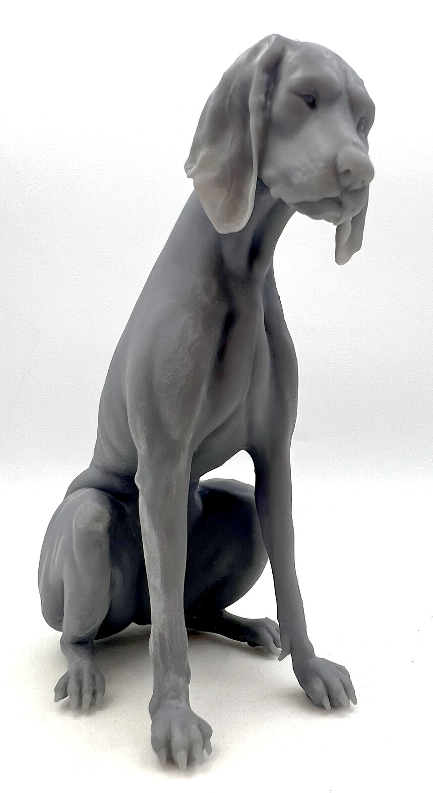 3D print of my dog sculpt in Grey resin - Form 3 print