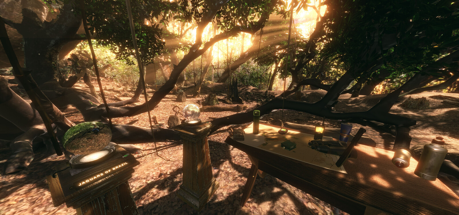 Forest angle 1