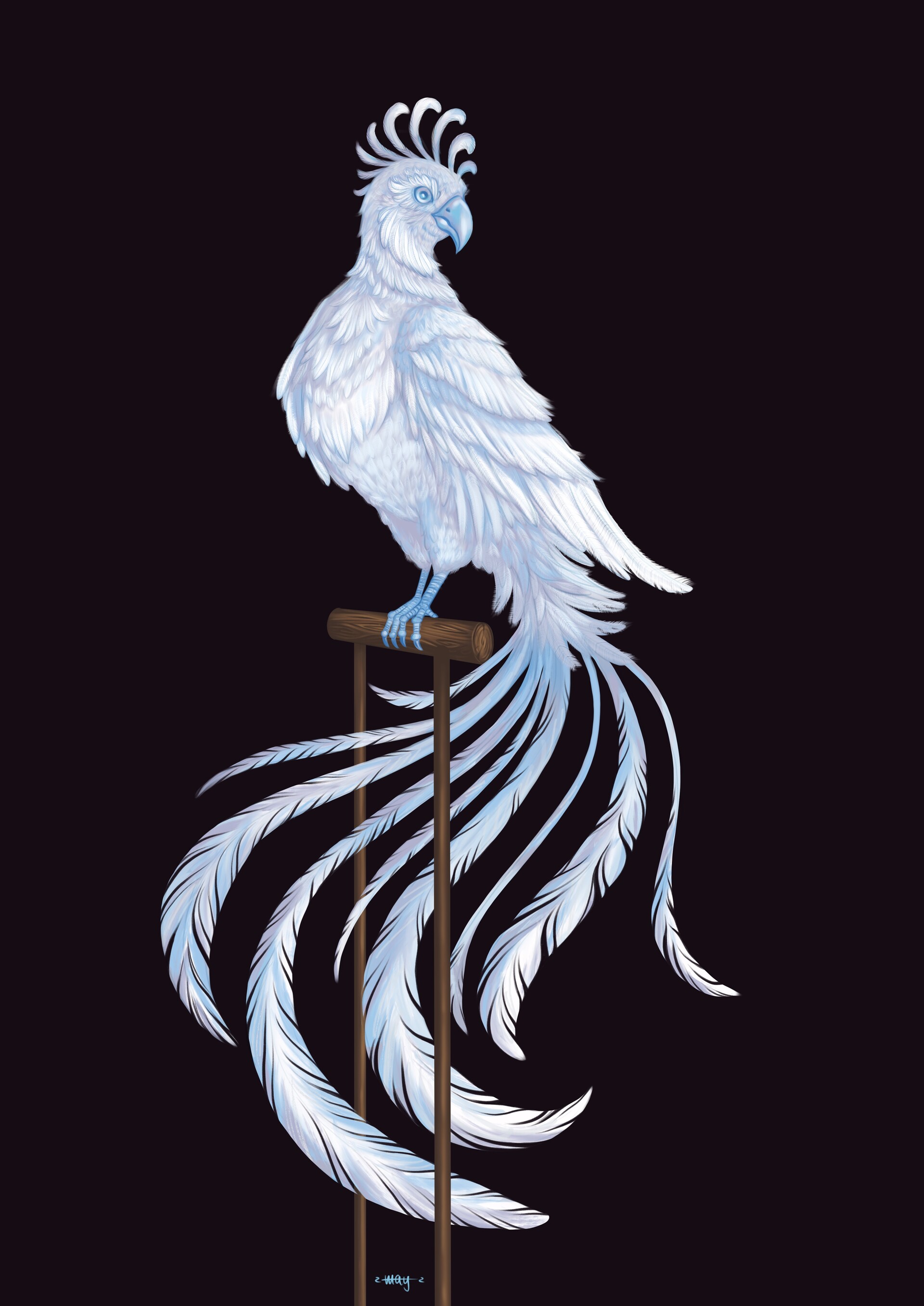 White fenix top