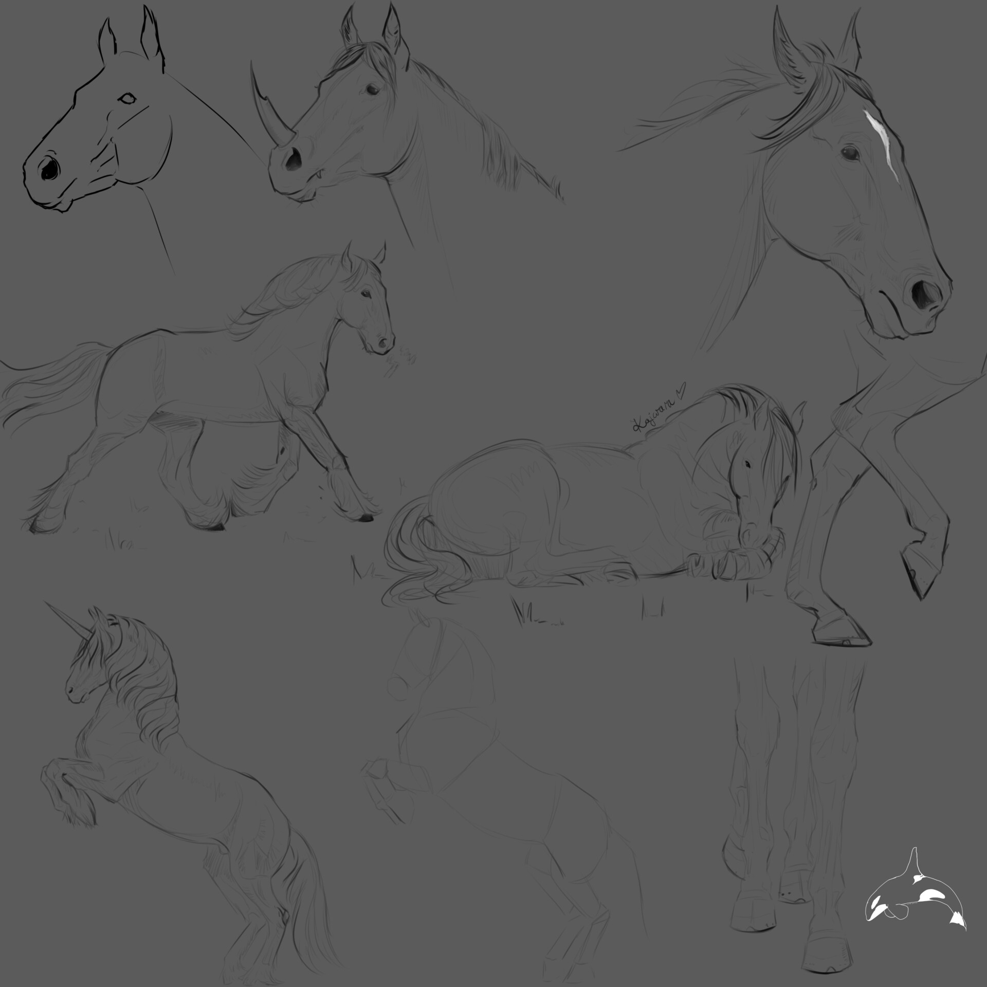 Artstation horse study sheet