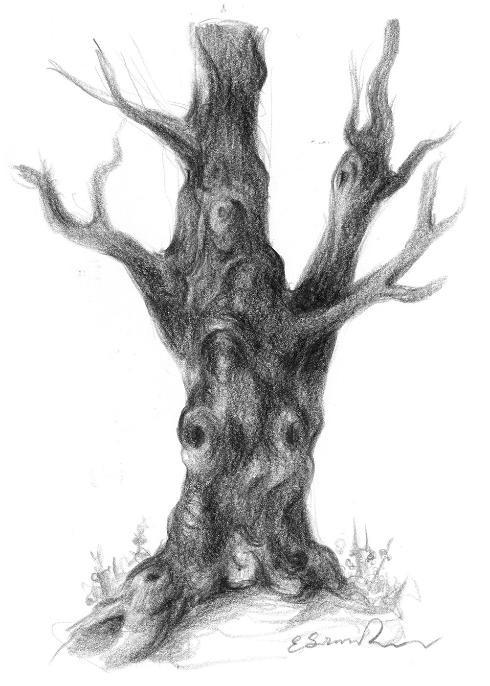 ArtStation tree sketch