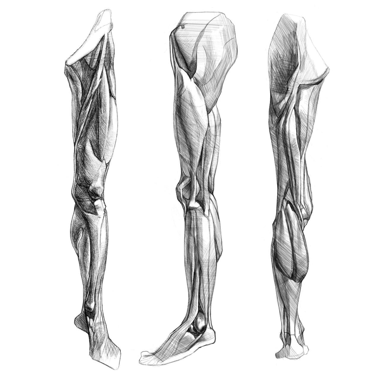 How to Draw Human Legs and Feet Drawing Article - How to Draw Step by Step  Drawing Tutorials