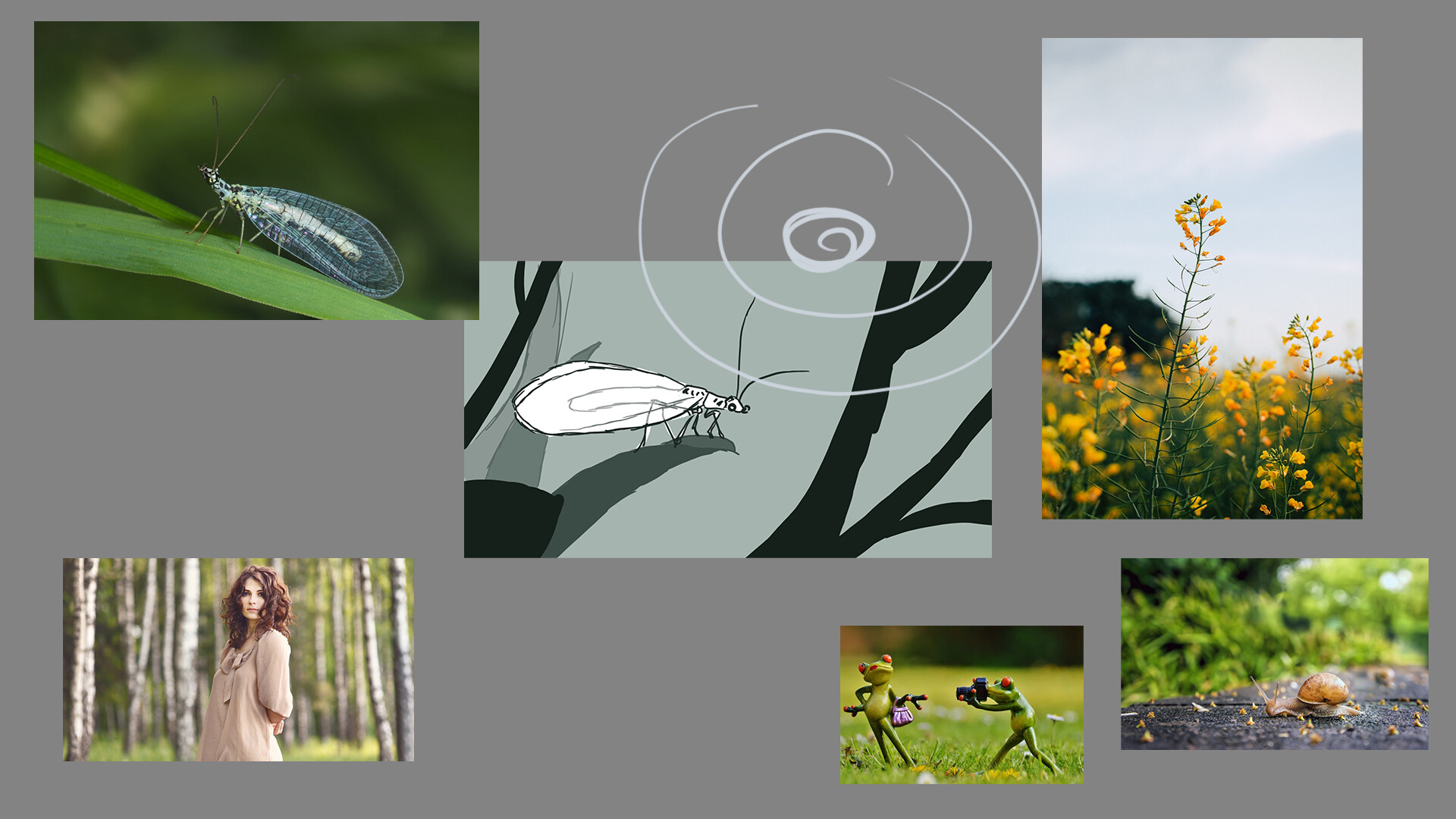 Manon Agtz - insect exercice