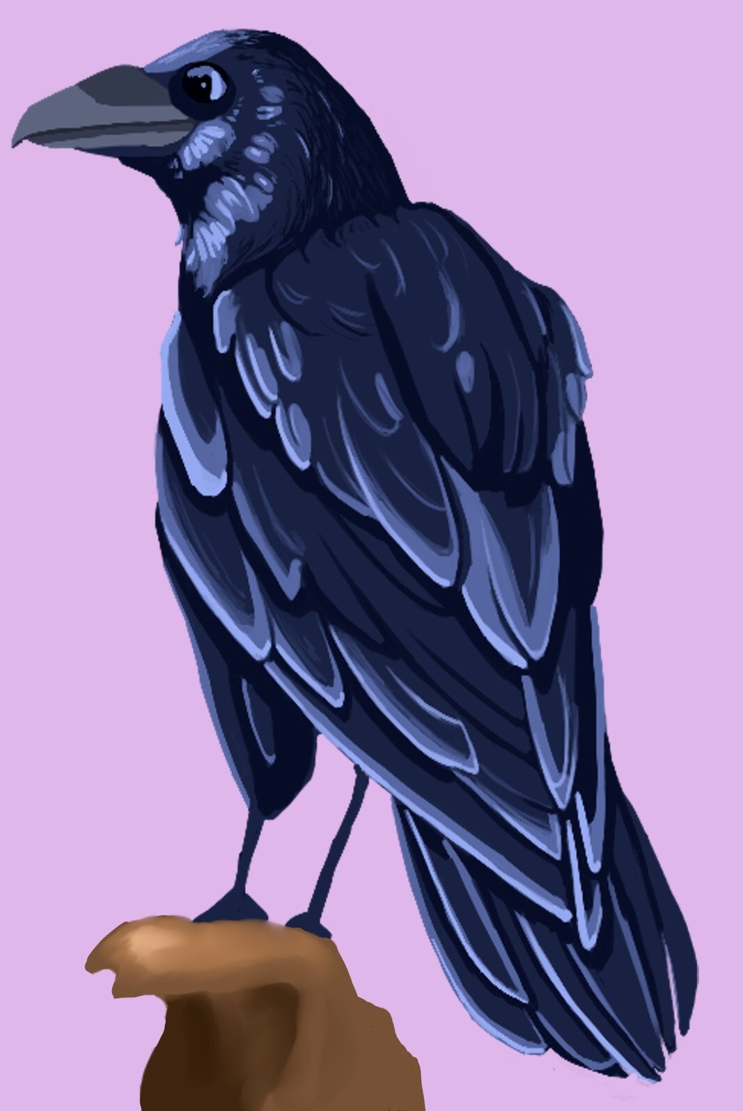 ArtStation - Crow illustration