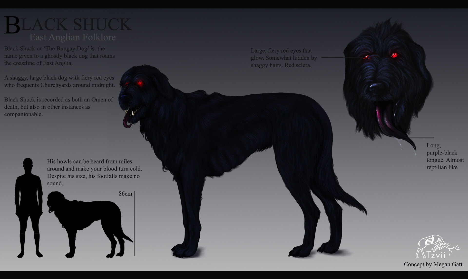 The Real Black Shuck The Real Black Shuck