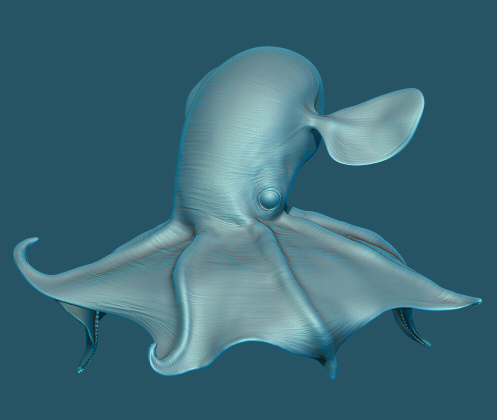 ZBrush Render of Dumbo Octopus sculpt