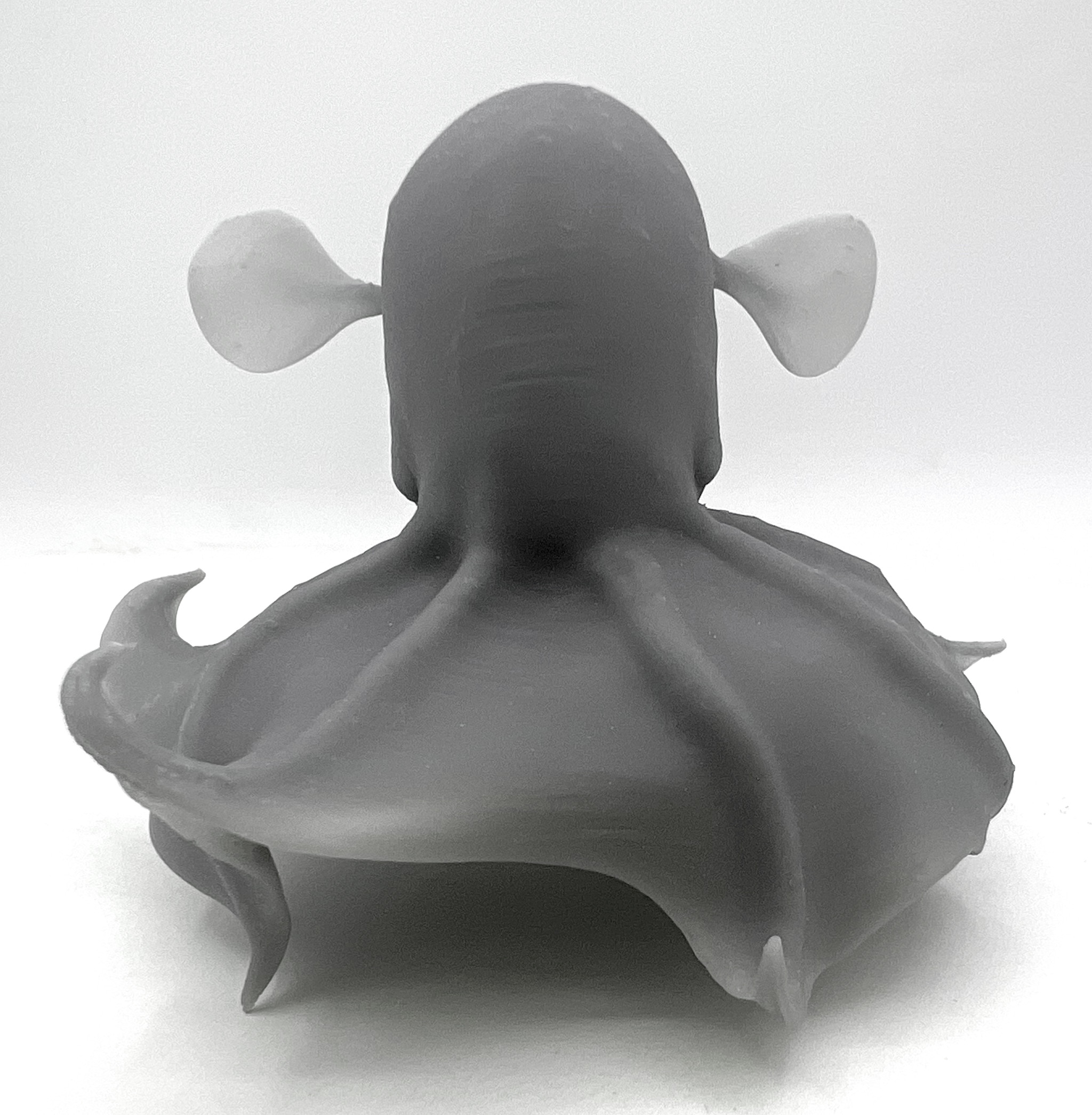 3d Print of Dumbo Octopus model
