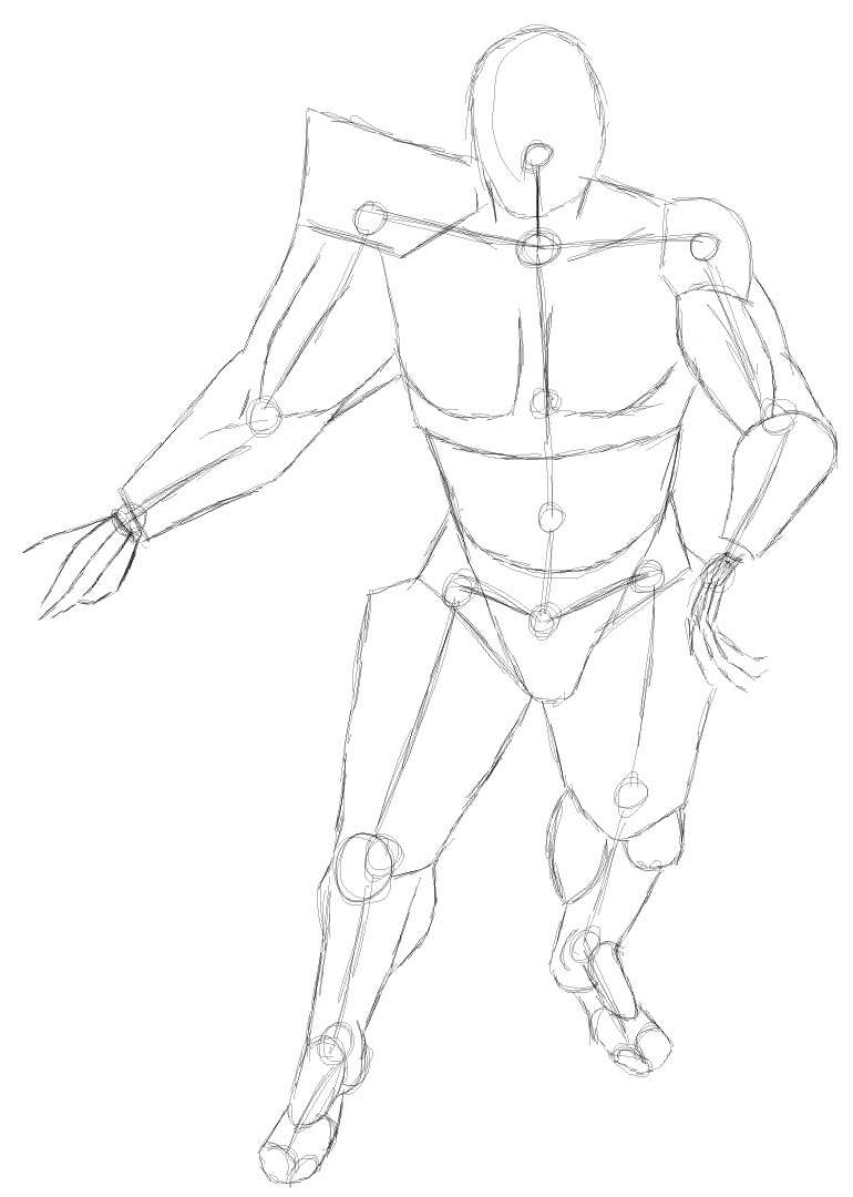 Shapes and Skeleton