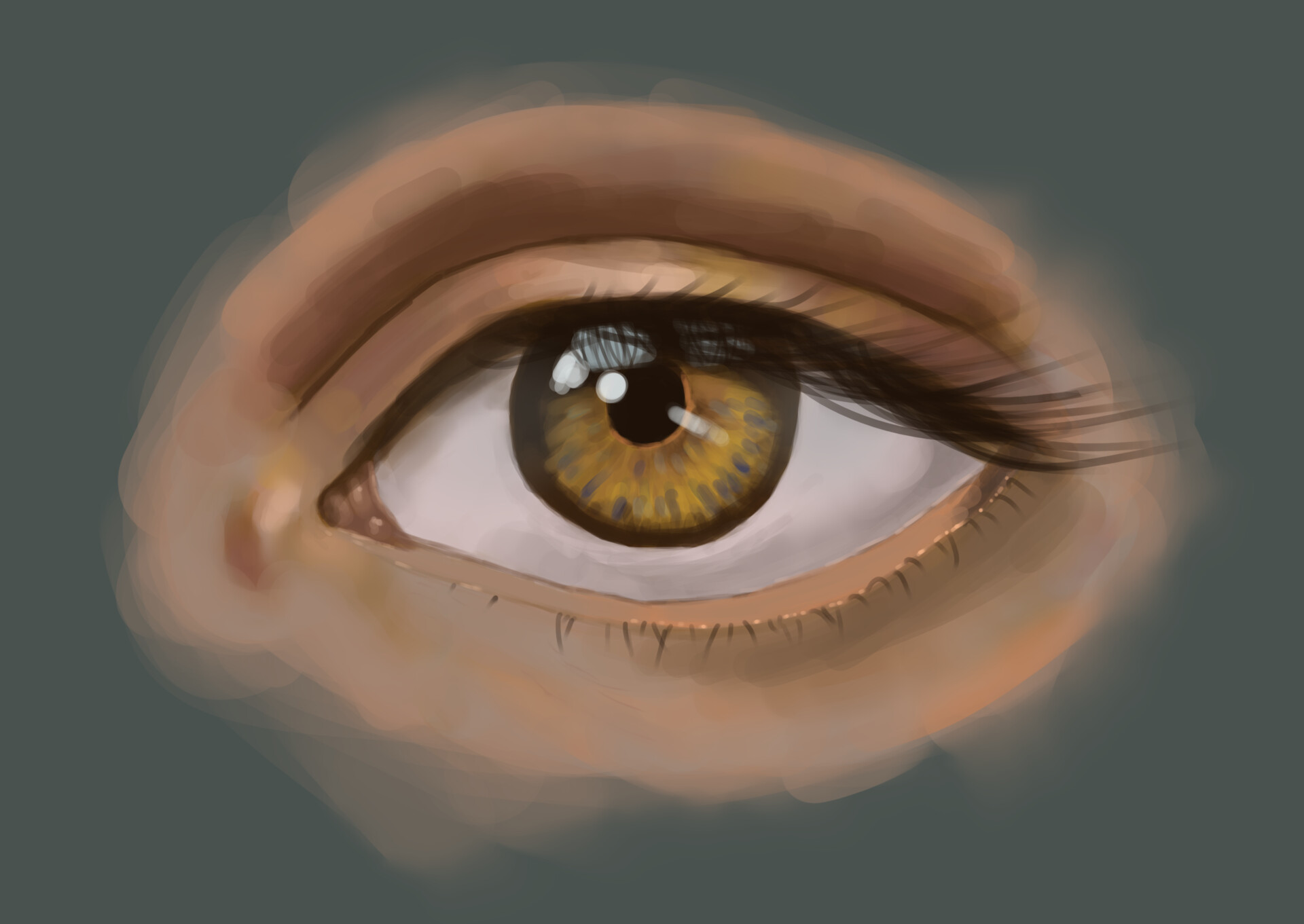 ArtStation Eye Study
